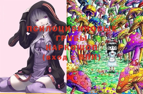 кокс Приозерск